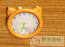 闹钟模型 高人指教——如何打造高效的时间管理系统